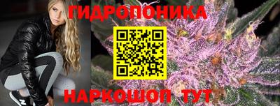 2c-b Кинель