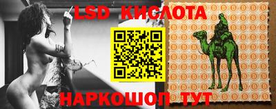бошки Кандалакша