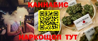 jwh Камышлов