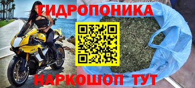 хмурый Кингисепп
