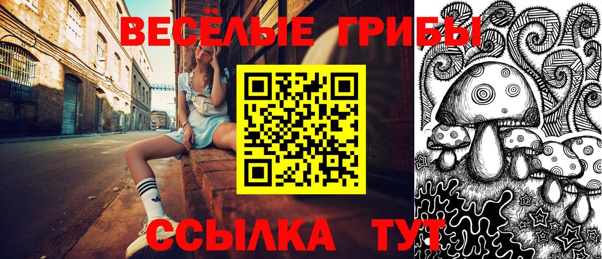 Галлюциногенные грибы Psilocybe  Галлюциногенные грибы Psilocybine cubensis  Зеленогорск  Вход с VPN 